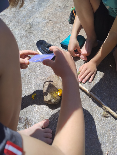 Kinder Survival Tage