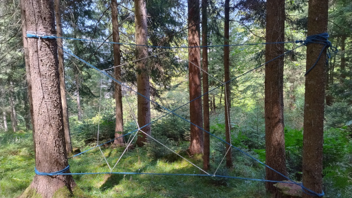 Kindergeburtstag im Wald